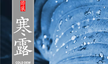 南宫集团(中国区)有限公司官网